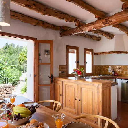 Villa New! Guillem San Carlos